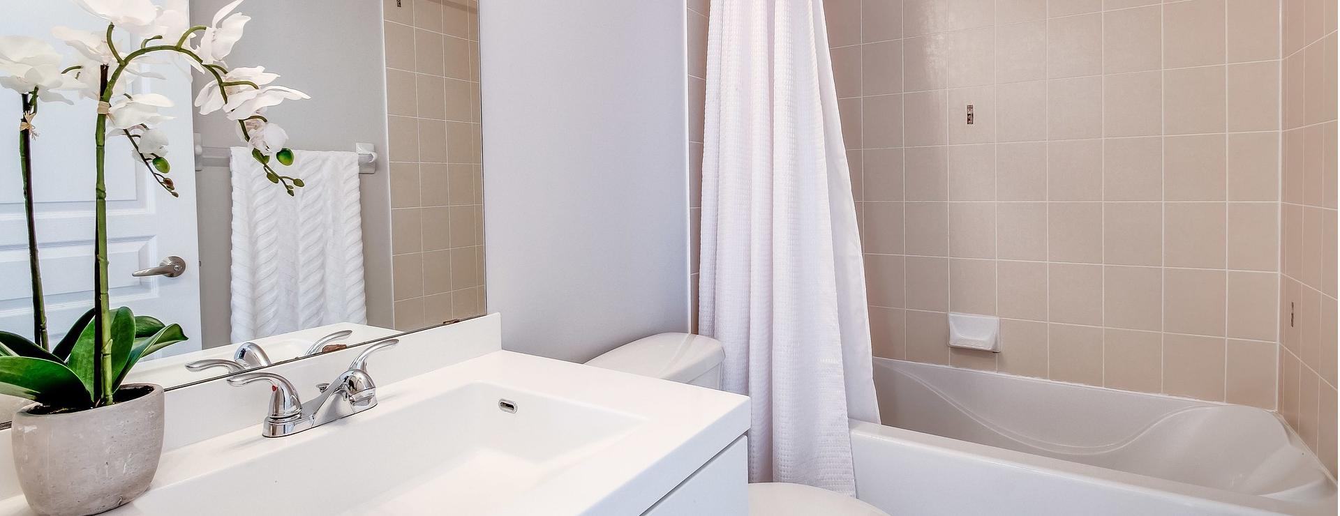 Home And Bathroom Supplies Store 1 Home And Bathroom Supplies Store -Home And Bathroom Supplies Store condo 3499679 1920